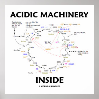Póster Maquinaria Ácida Interior (ciclo del ácido cítrico