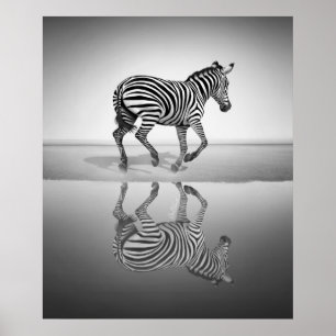 Póster Mar de la Libertad