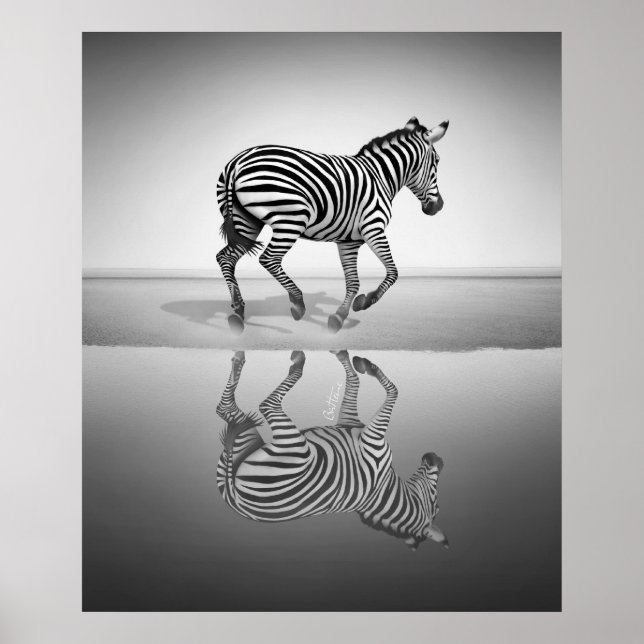 Póster Mar de la Libertad (Frente)