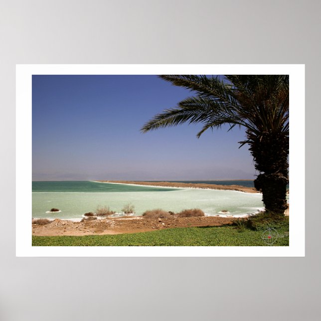 Póster Mar Muerto (Frente)