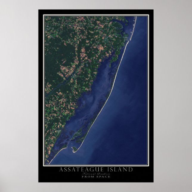 Póster Mar Nacional De La Isla De Assateague Desde El Esp (Frente)