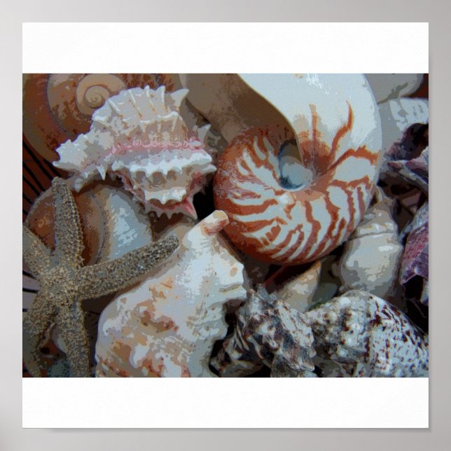 Póster Maravillas de Florida (Frente)