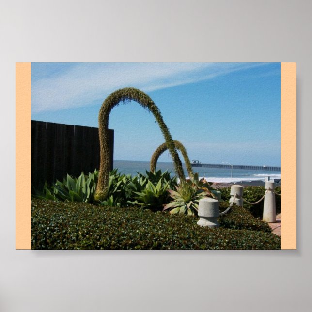 Póster Maravillas florales (Frente)