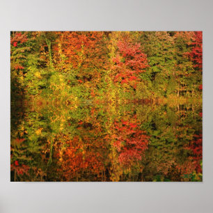 Póster Maravillosas Reflexiones de Otoño Naturaleza