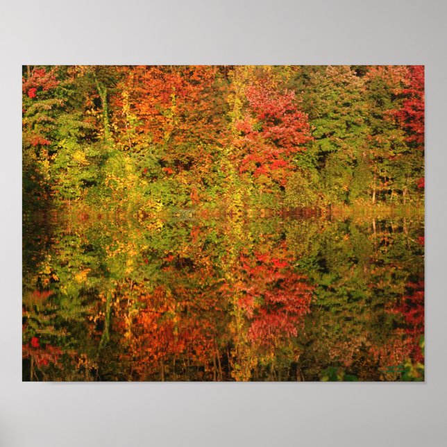 Póster Maravillosas Reflexiones de Otoño Naturaleza (Frente)