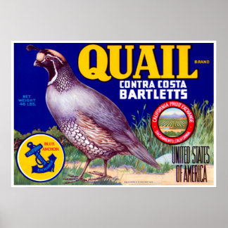 Póster Marca de cola Contra Costa Bartletts