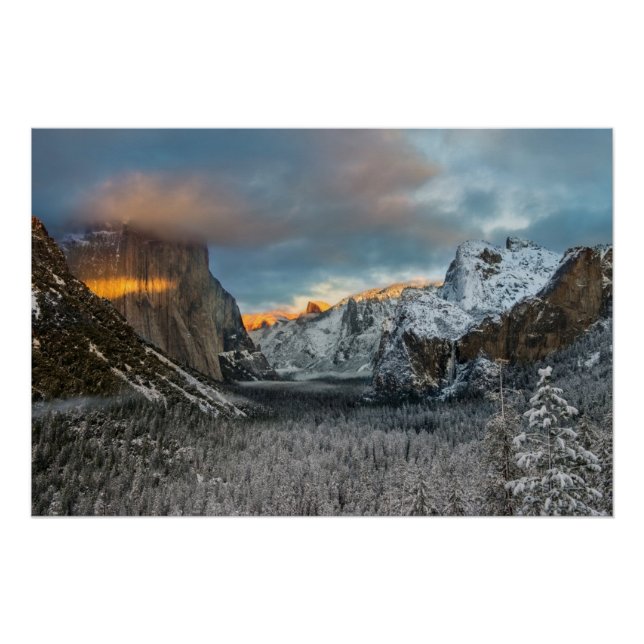 Póster Marca de invierno (Anverso)