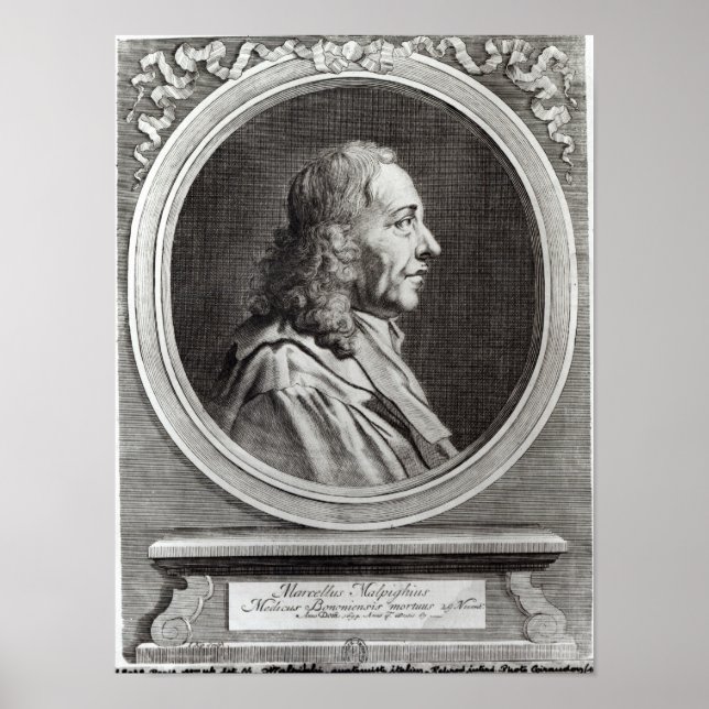 Póster Marcello Malpighi de 67 años, 1694 (Frente)