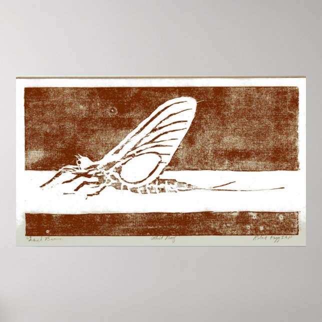 Póster March Brown May Fly (Frente)