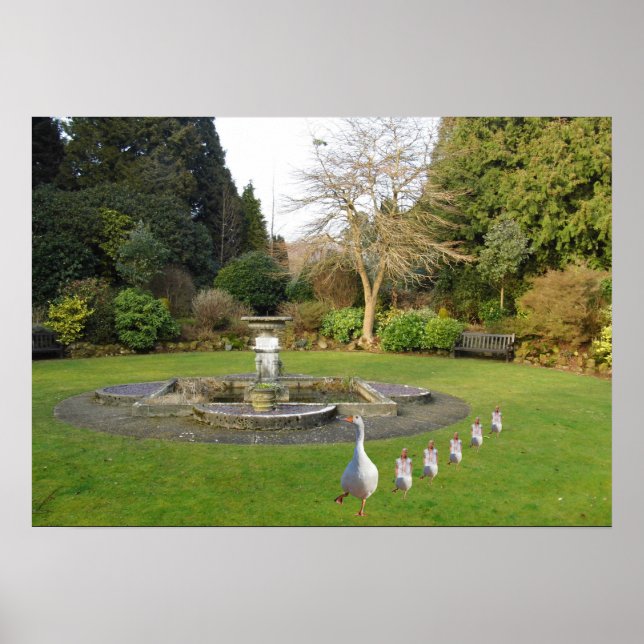 Póster Marcha de gansos y gallos (Frente)