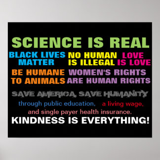 Póster Marcha de protesta por los derechos humanos poster