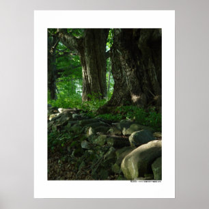Póster Marcha del Poster Maples