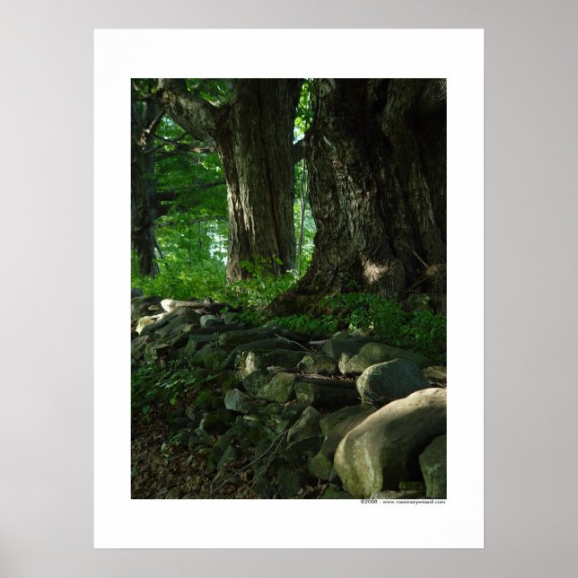 Póster Marcha del Poster Maples (Frente)