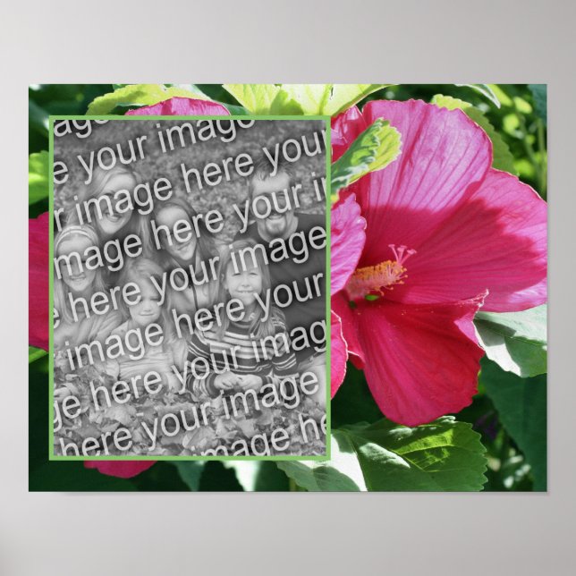 Póster Marco de flor rojo hibiscus Añadir la foto (Frente)
