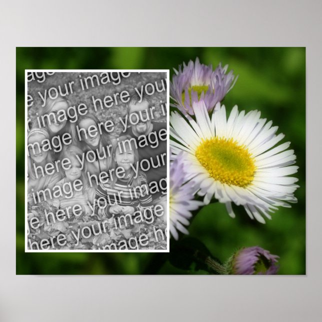Póster Marco de flores Wild Fleabane Daisy Añadir tu foto (Frente)