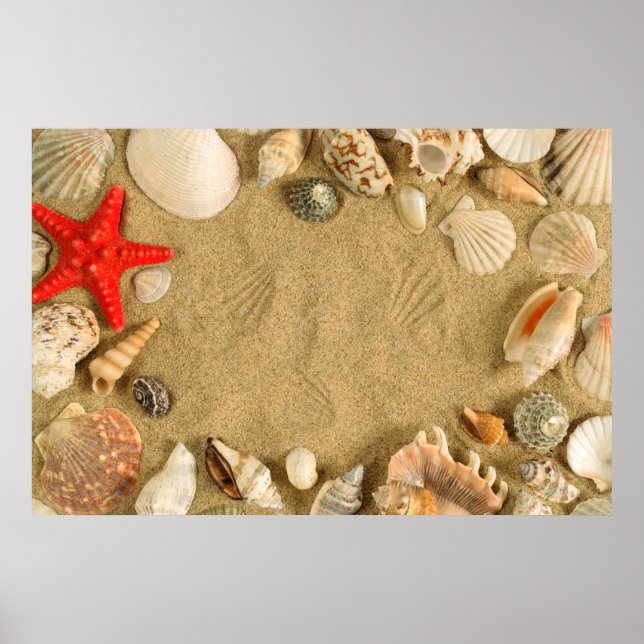 Póster marco de la concha (Frente)