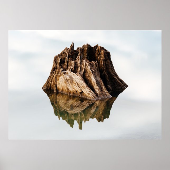 PÓSTER MARCO DE MADERA MARRÓN (Frente)