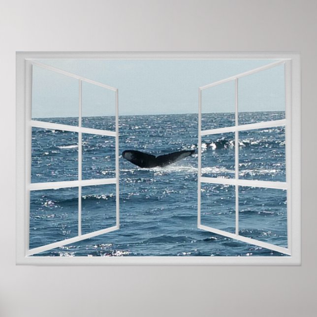 Póster Marco de ventana con cola de ballena (Frente)