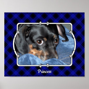 Póster Marco fotográfico Mascota personalizado Placa azul