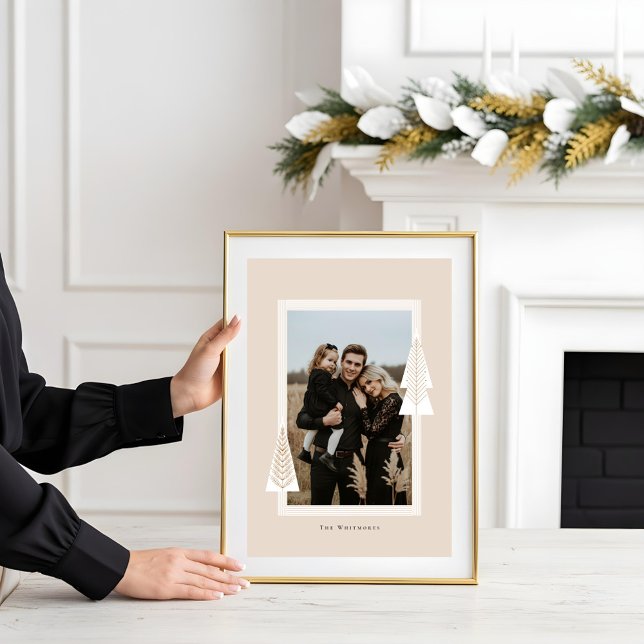 Póster Marco moderno de rayas Fotografía de árbol de Navi (Modern Stripe Frame Evergreen Christmas Tree Photo Poster)