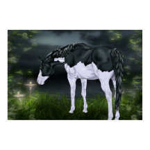Marco negro y blanco sobre un caballo de pintura