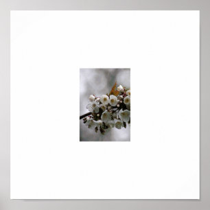 Póster marco para fotos