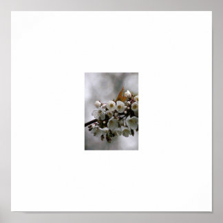 Póster marco para fotos