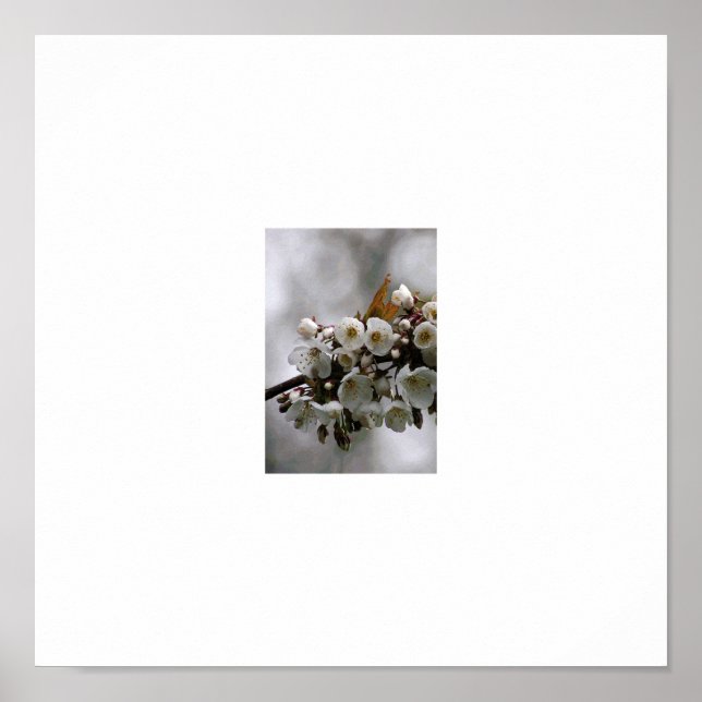 Póster marco para fotos (Frente)