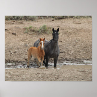 Póster Mare de acero y posta