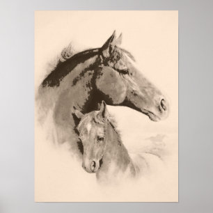 Póster Mare-n-Foal con efecto-tinción de carbón vegetal
