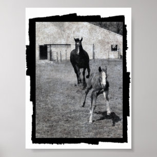 Póster Mare y Foal
