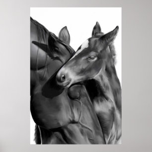 Póster Mare y Foal en blanco y negro