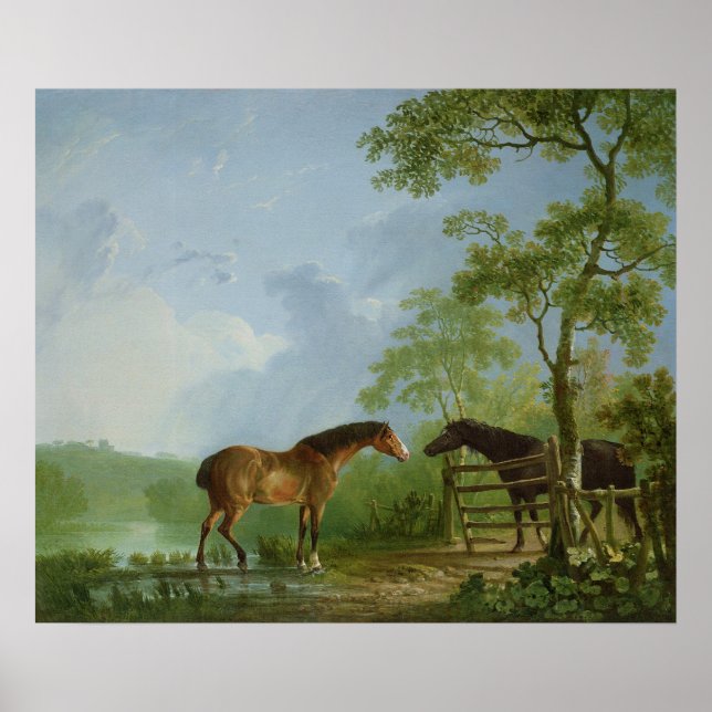 Póster Mare y Stallion en un paisaje (Frente)