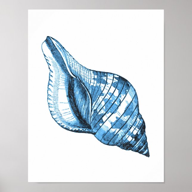 Póster Marea marina costera de la concha azul marino (Frente)