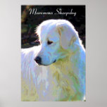 Póster Maremma sheepdog pop art poster<br><div class="desc">Beautiful Maremma sheepdog pop art poster.</div>