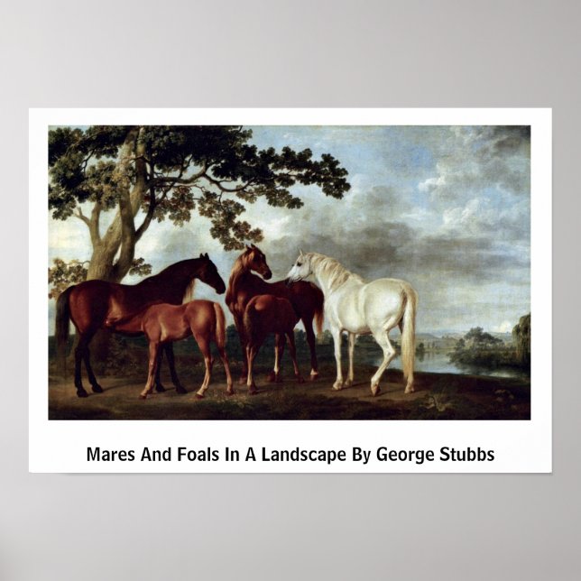 Póster Mares Y Fotografías En Un Paisaje De George Stubbs (Frente)