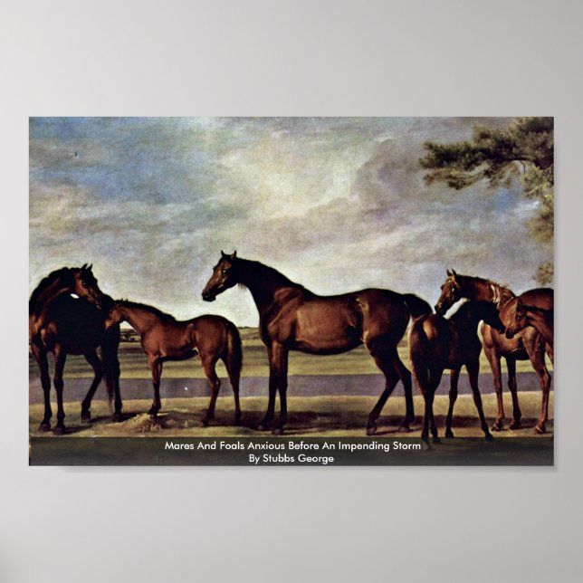 Póster Mares Y Tonto Ansiosos Ante Una Tormenta Inminente (Frente)