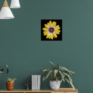 Póster Margarita Africana Amarilla sobre Floral Negro
