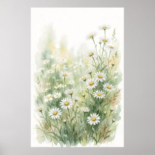 Póster Margarita Blanca Acuarela de Flor Silvestre