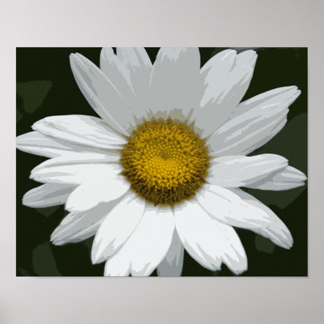 Póster Margarita Blanca Sencilla (Frente)