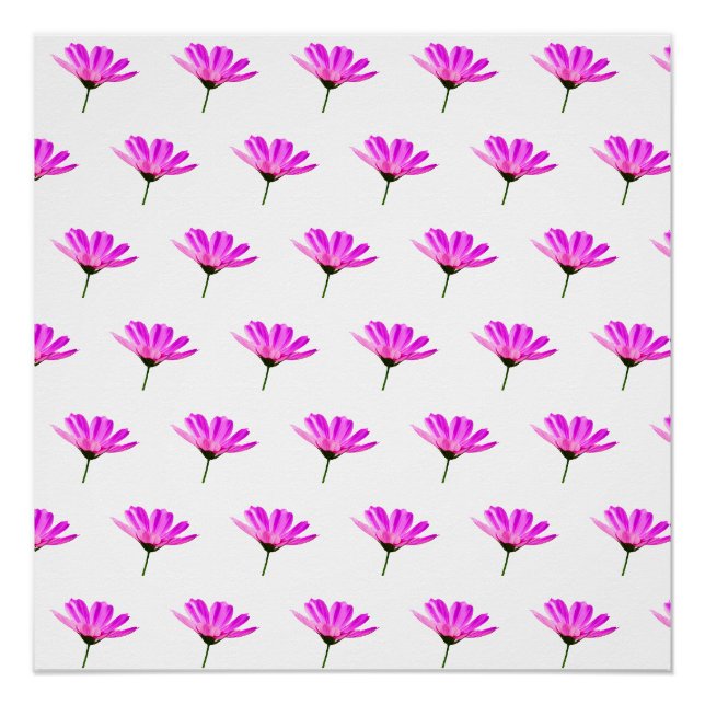 Póster Margarita Rosa  (Anverso)