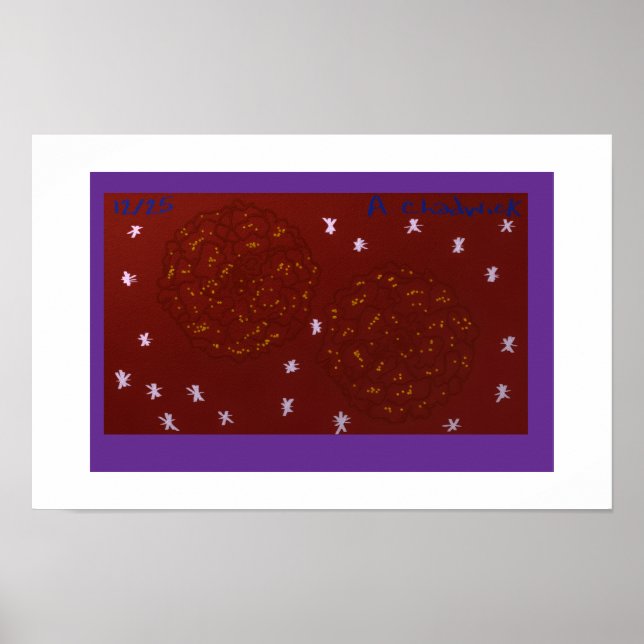 Póster Margaritas con Estrellas (Frente)