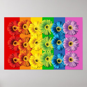 Póster Margaritas del arco iris