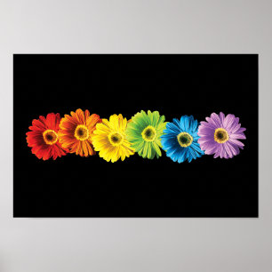 Póster Margaritas del arco iris