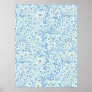 Póster Margaritas en blanco y azul sobre vidrio marino