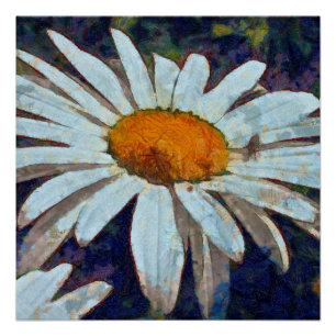 Póster Marguerite Daisy con insectos alados arte floral