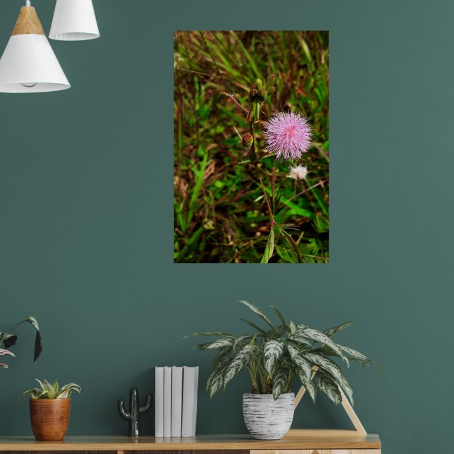 Póster Maria-fecha-a-porta (Salón 1)