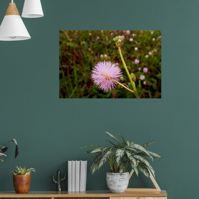 Póster Maria-fecha-a-porta 2 (Salón 1)