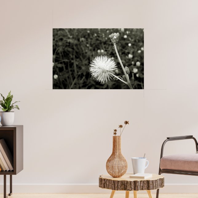 Póster Maria fecha a porta  - Com Broto (Salón 3)