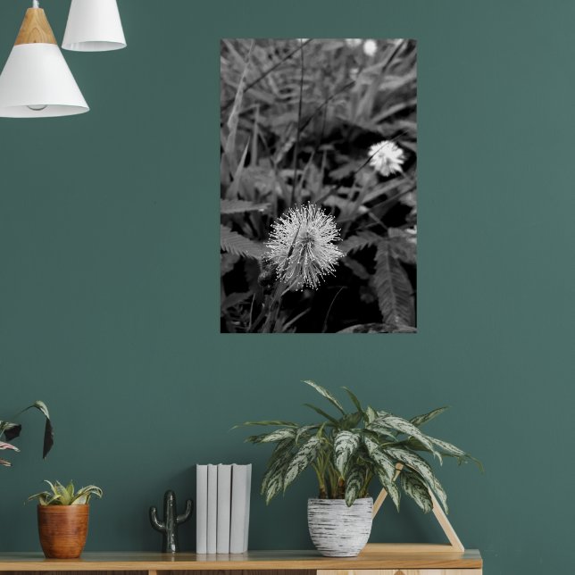 Póster Maria-fecha-a-porta CONTRASTE (Salón 1)